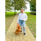 Halloweeni kutyás pulóver