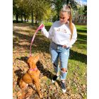 Halloweeni kutyás pulóver