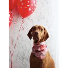 Love letters kutya kendő