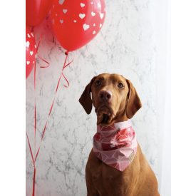 Love letters kutya kendő