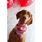 Love letters kutya kendő