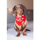 Valentine kutya kendő