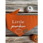 Little pumpkin kendő