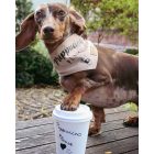 Puppucino kendő