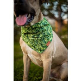 Fenyőágas kutya kendő