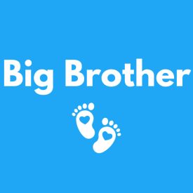 Big brother kutyakendő