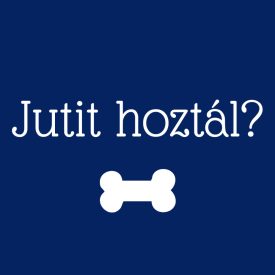 Jutit hoztál? kutyakendő