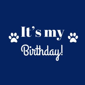 It's my birthday kutyakendő