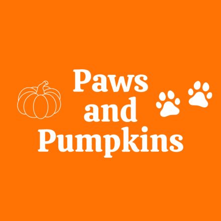 Paws and pumpkins kutyakendő