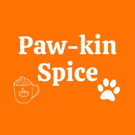 Paw-kin spice kutyakendő