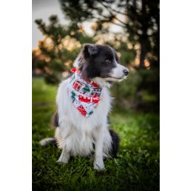 Karácsonyi vonatos kutya kendő