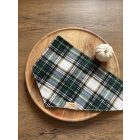 Kockás zöld kutyakendő