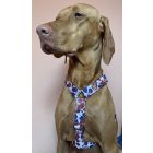 Kutya hám - Egyedi méretre