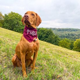 Saját neves kendő, bordó
