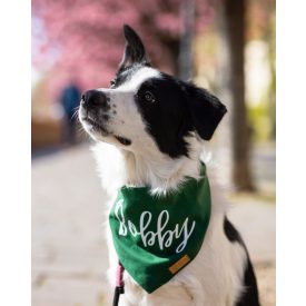 Saját neves kendő, fenyőzöld