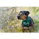 Saját neves kendő - választható színnel