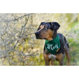 Saját neves kendő - választható színnel