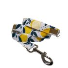 Citrom mintás nyakörv