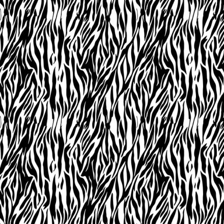 Zebra mintás nyakörv