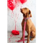 Apró szív mintás póráz