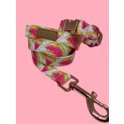 Dinnye mintás póráz