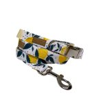 Citrom mintás póráz