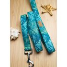 Pálma leveles póráz