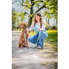 Simpaw menta nyakörv