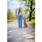 Simpaw menta táska gazdiknak